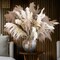 Fluffy Pompas Grass, Natural Dry Pampas Grass Small(Brown,white)
